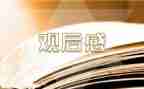写观后感作文500字参考6篇