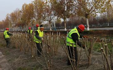主管护师年度工作总结5篇