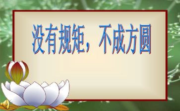 讲规矩懂规矩守规矩心得体会优秀8篇