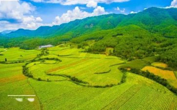 国土述职报告7篇
