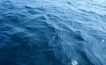 海年度培训计划精选5篇