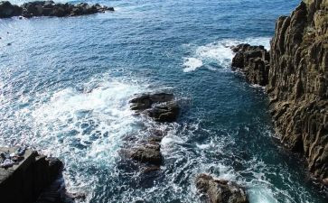 海淘问卷调查报告精选5篇