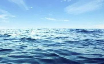 海创医院管理培训心得体会最新5篇