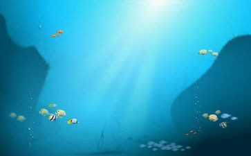 《海底》读后感优秀8篇