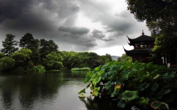写杭州的作文400字8篇
