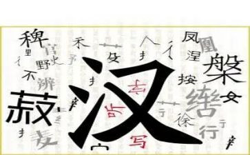 学汉字的作文推荐5篇
