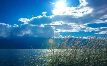 岁月痕迹的作文8篇