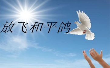 和平发展的心得体会5篇