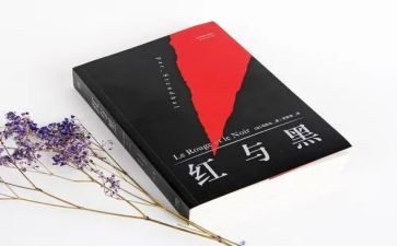 红与黑阅读心得体会6篇