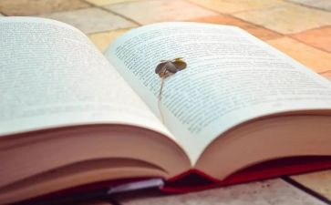 后道主管年终总结5篇