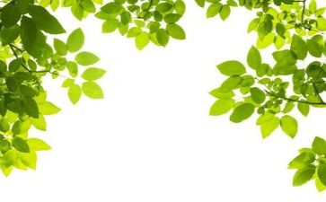 谈环保心得体会参考6篇