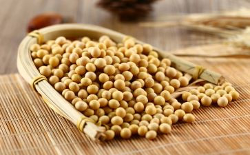 捡黄豆作文推荐5篇