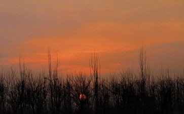 《黄昏》作文8篇