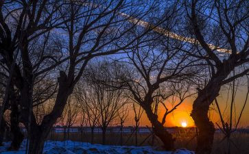 《黄昏》作文最新8篇