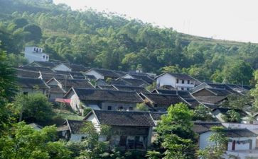 沪滇项目调研报告模板6篇