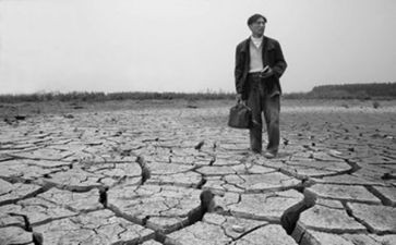 呼唤的作文800字8篇