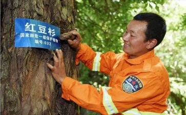 护林员年度总结报告6篇