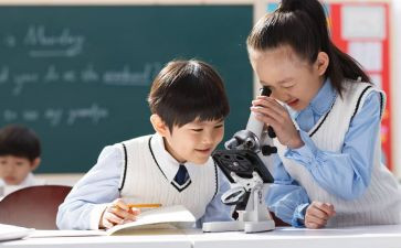 幼儿园活动课教案5篇