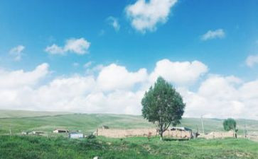 英雄活在我心中作文8篇