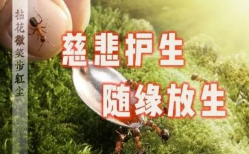 守护生命演讲稿5篇