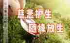 守护生命演讲稿5篇