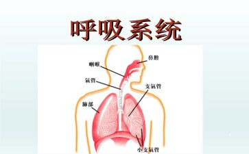 呼吸内科护士长2023工作总结6篇