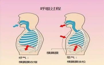 2024年呼吸内科年终总结6篇