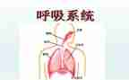 呼吸内科护士长2023工作总结6篇