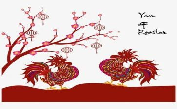 蒸鸡蛋羹的作文300字7篇