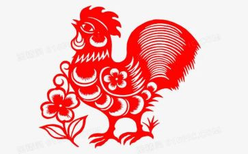 养小鸡的作文600字6篇
