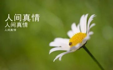 人间真情作文400字8篇