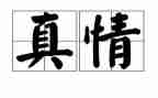 感受真情作文5篇