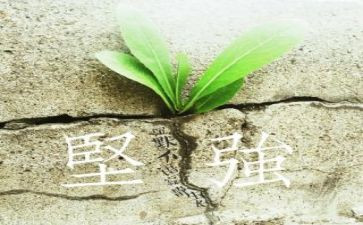 《坚强的人》作文6篇