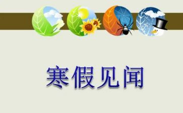 见闻400字作文优秀6篇