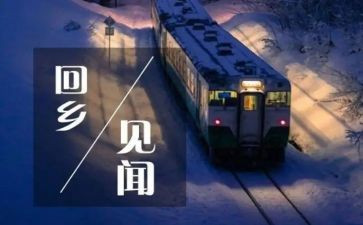 暑假见闻作文600字5篇