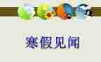 见闻400字作文优秀6篇