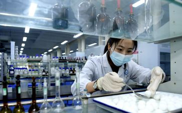 检验年工作总结个人总结5篇