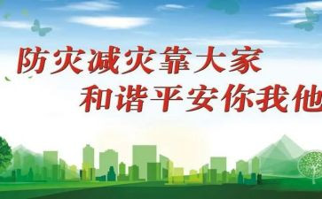 防灾减灾的活动总结优质6篇