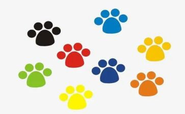 大脚印作文优质6篇