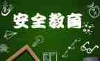 大学生教育安全心得体会1000字7篇
