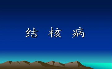 2024年结核病防治工作总结7篇
