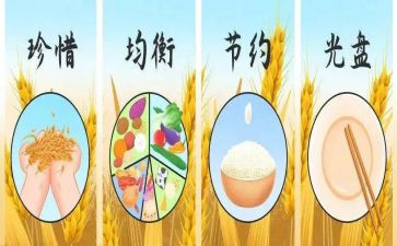 学校爱粮节粮活动方案8篇
