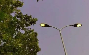 有关于借物喻人的作文最新8篇