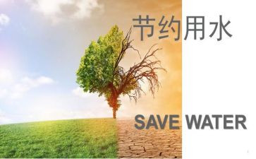 小学节约活动方案5篇
