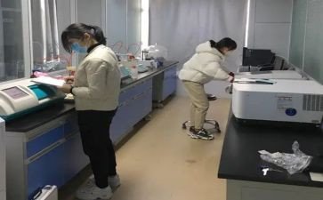 计量所2024年工作总结5篇