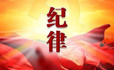 纪律工作总结范文8篇