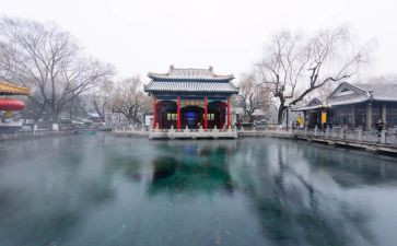 济南泉水作文8篇