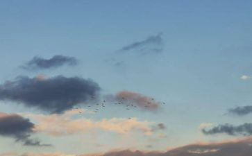 关于静校园的作文8篇