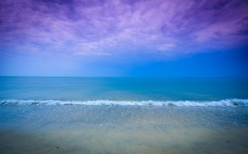 静与动作文800字作文最新8篇