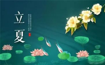 关于24节气的作文5篇